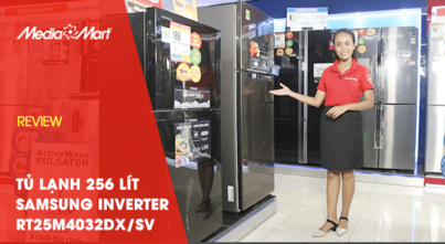 Review Tủ lạnh Samsung RT25M4032DXSV - 256 Lít, Inverter