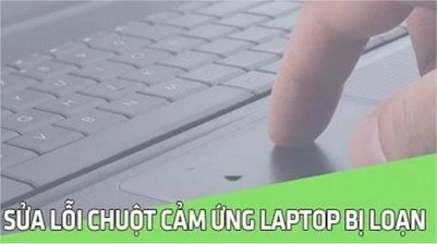 Sửa lỗi chuột cảm ứng laptop bị loạn, nhảy lung tung