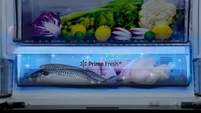 Tổng hợp các công nghệ mới nhất trên tủ lạnh Panasonic