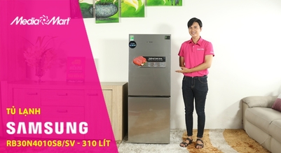 Tủ lạnh Ngăn Đông Dưới Samsung RB30N4010S8SV - Ngăn đông mềm giữ trọn vị tươi ngon