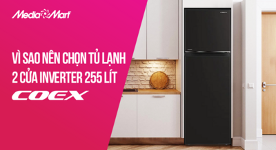 Vì sao nên chọn tủ lạnh 2 cửa Inverter Coex 255 lít RT-4005BS?
