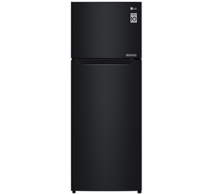 Tủ lạnh LG 209 lít GN-B222WB Smart Inverter