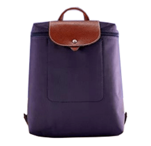 Balo laptop Remax Double 521 Blue