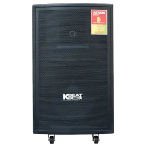 Loa kéo Acnos 1000W Bass30 CB31 (2 mic)