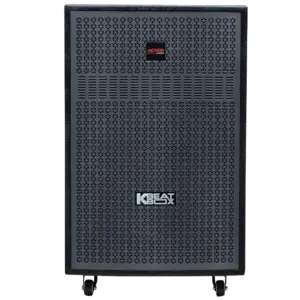 Loa kéo Acnos 450W Bass40 CB405G/GD (2 mic)