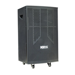 Loa kéo Acnos 600W Bass30 CB303G (2 mic)