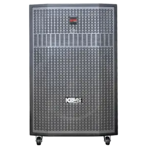 Loa kéo Acnos 750W Bass50 CB56GD (2 mic)