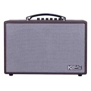 Loa xách tay Acnos CS16D200 200w Bass16 (2mic)