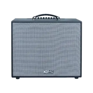 Loa xách tay Acnos CS25D300 250w Bass25 (2mic)