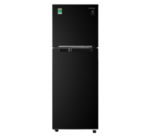 Tủ lạnh Samsung Inverter 256L RT25M4032BU/SV