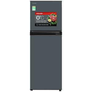 Tủ lạnh Toshiba Inverter 233L GR-RT303WE-PMV(52)
